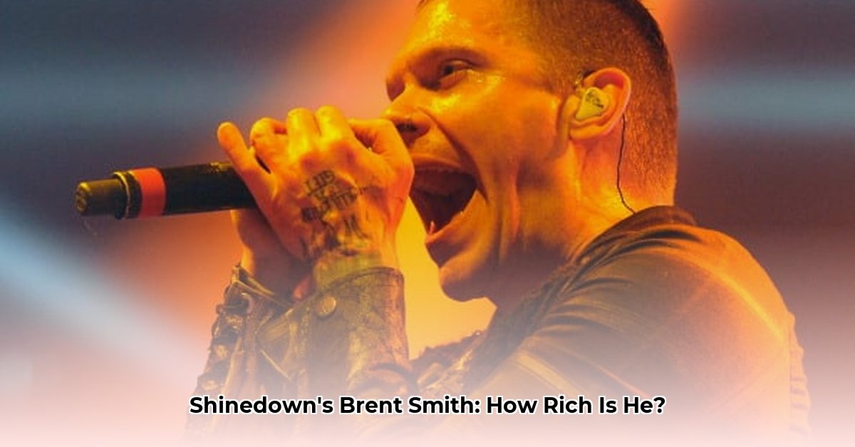 shinedown-net-worth